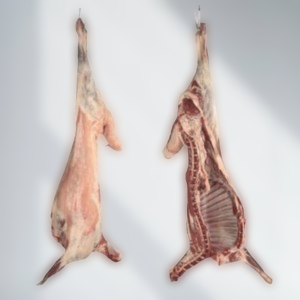 You are currently viewing توصيل افضل انواع الذبايح للبيت بالرياض